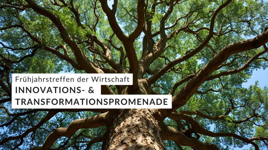 Baumkrone: Innovations- & Transformationspromenade